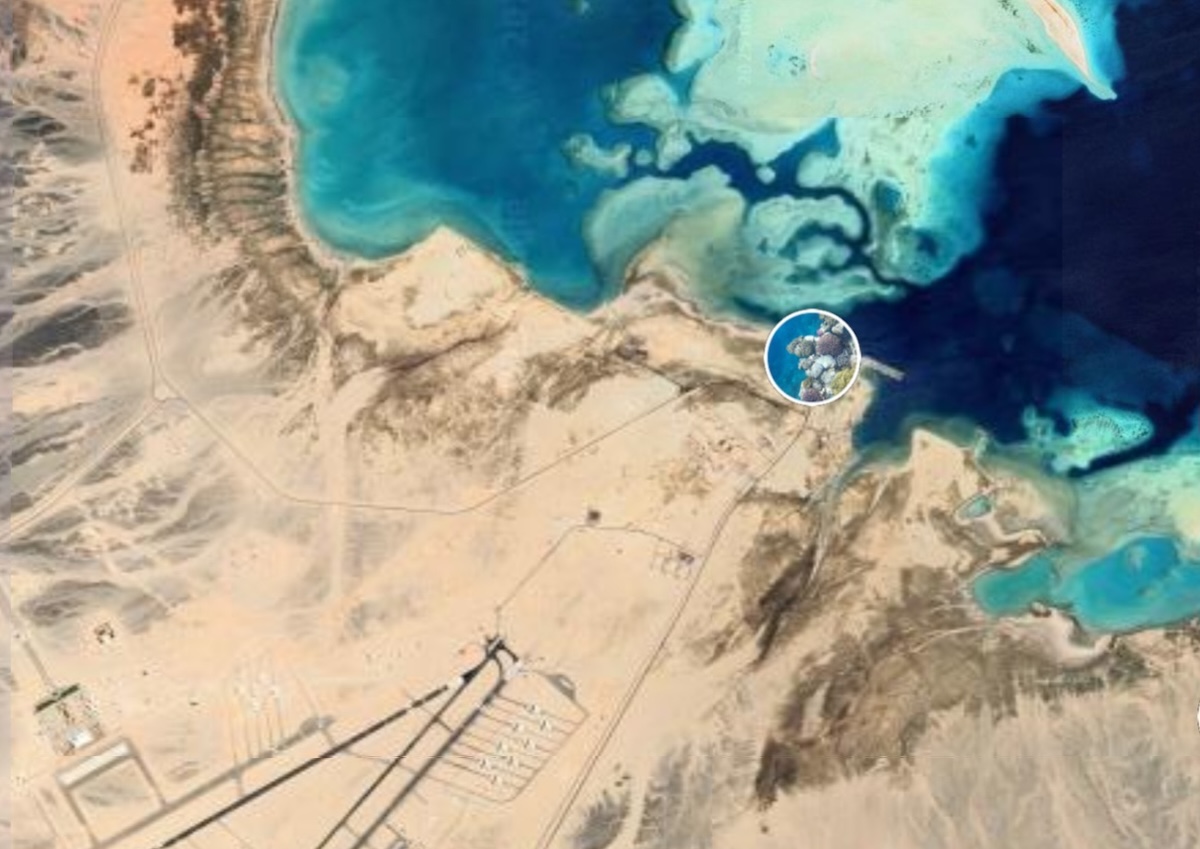 A Sunken Port Beneath the Red Sea May Have Reshaped the Map of Human Migration Out of Africa 20,000 Years Ago