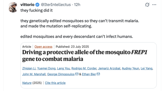 Screenshot2025-07-24at6.32.34PM.png Screenshot2025-07-24at6.32.34PM.png