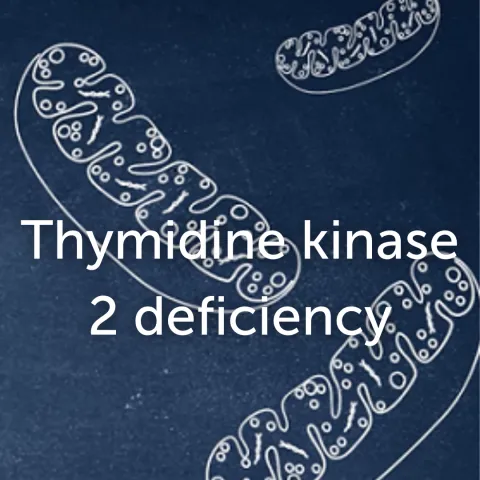 Charting the course: UCB’s latest research on TK2d illuminates patient journeys
