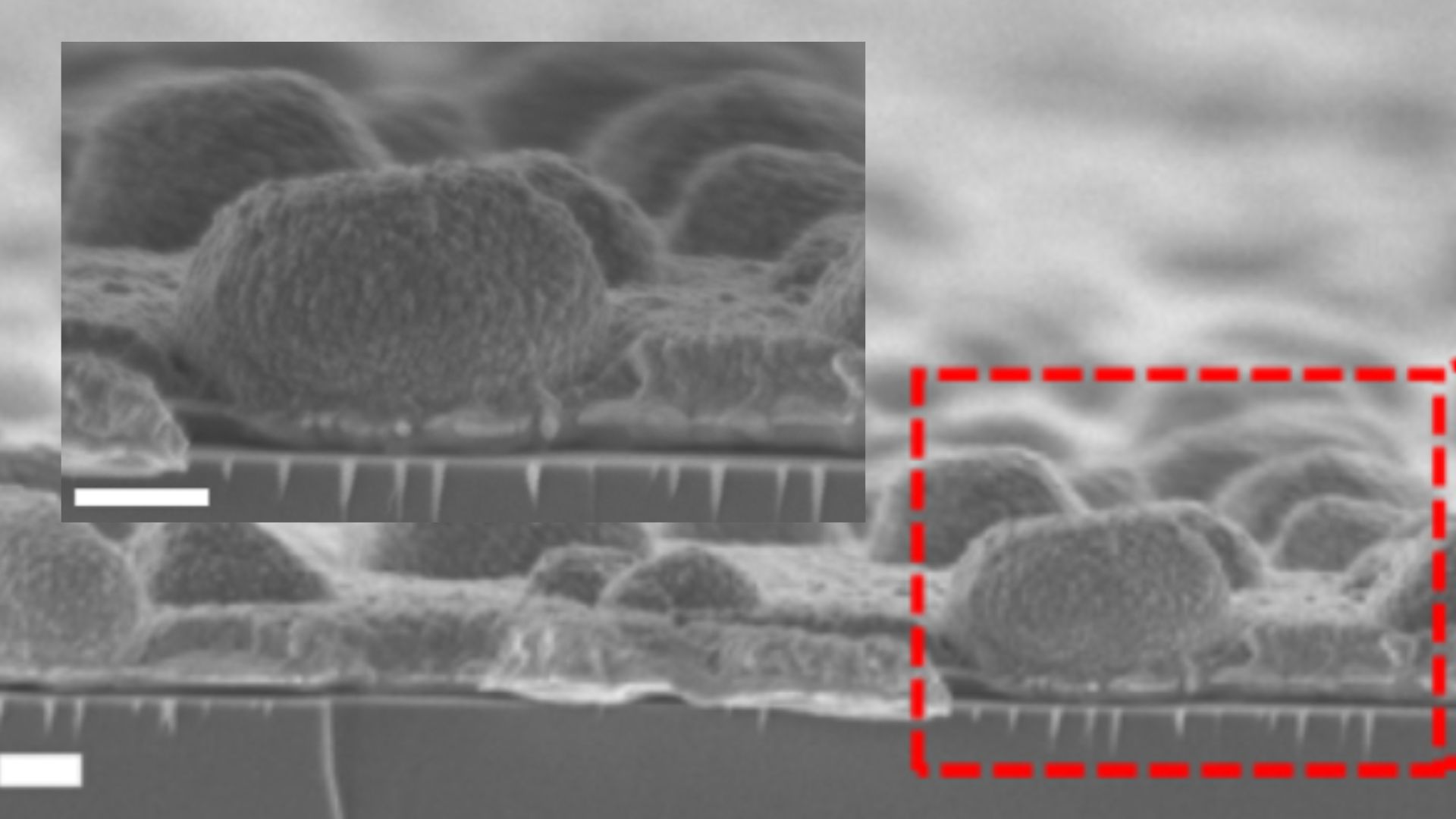 Next-gen coating mimics clouds to manage heat, evade detection