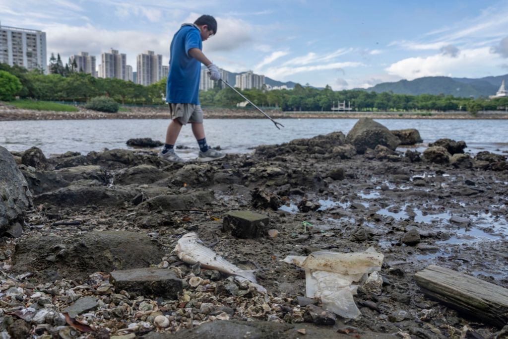 The research team selected riverbanks with high ecological value as investigation sites to record the actual pollution caused by plastic waste from the city falling into the riverbanks.