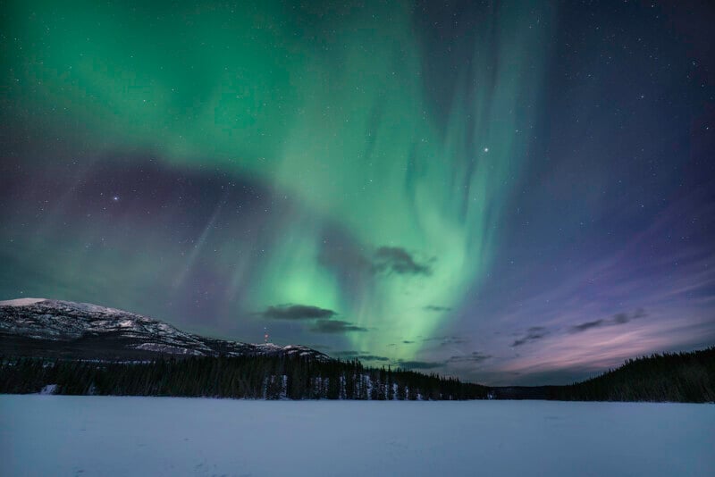 Green and purple aurora borealis lights swirl across a starry night sky above a snow-covered landscape, with dark silhouetted trees and a mountain in the background.