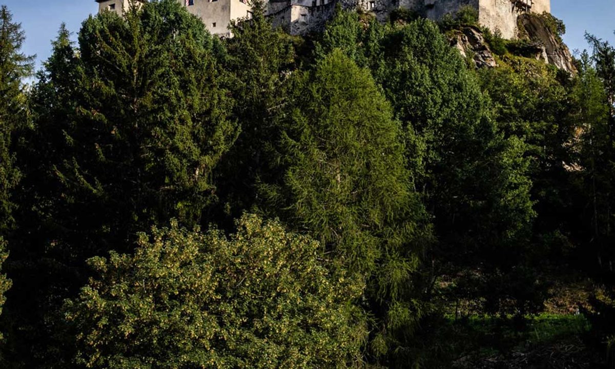Towering ambition: the Swiss artist Not Vital’s Alpine playground – The Art Newspaper