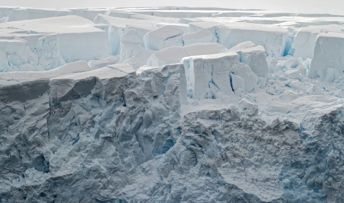 ‘Much more complex than conventional models suggest’