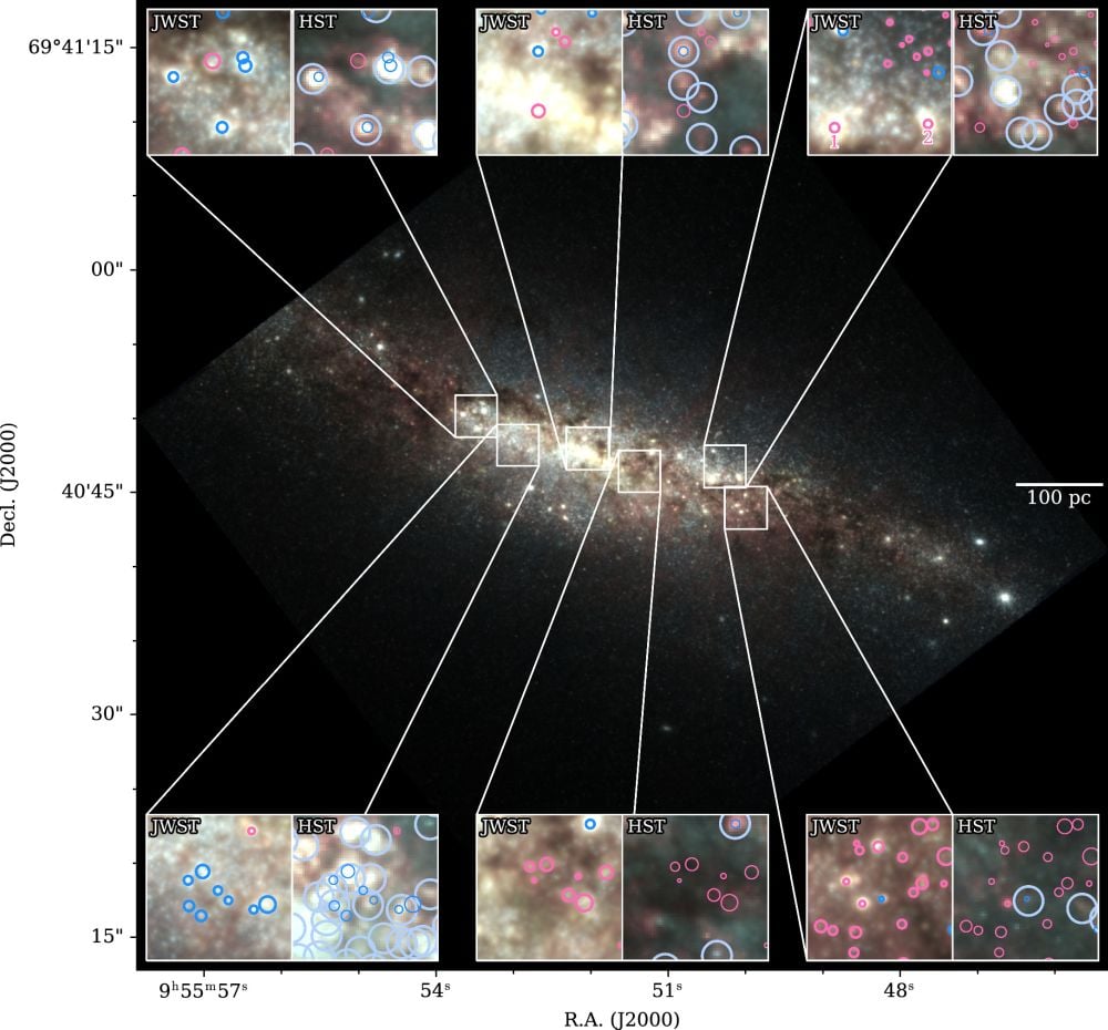 This image from a 2024 paper shows some of the superclusters in M82. Image Credit: Levy et al. 2024. ApJ. DOI 10.3847/2041-8213/ad7af3