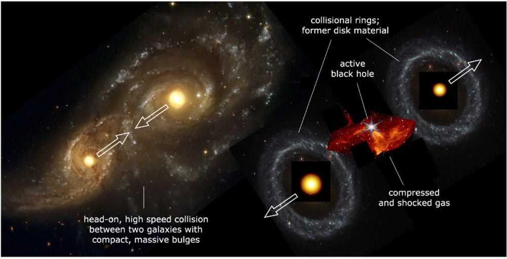 This schematic explains how a head-on collision between two galaxies with massive, compact bulges could create the Infinity galaxy. "The bulges survived the collision, and the inner disk stars were swept up in outwardly expanding collisional rings around the bulges," the authors explain. "Compression and shocks in the colliding gas likely produced a dense gaseous remnant in between the nuclei, as has been observed in the bullet cluster on much larger scales. It is proposed that the black hole formed within this gas. Image Credit: Pieter van Dokkum et al 2025 ApJL 988 L6