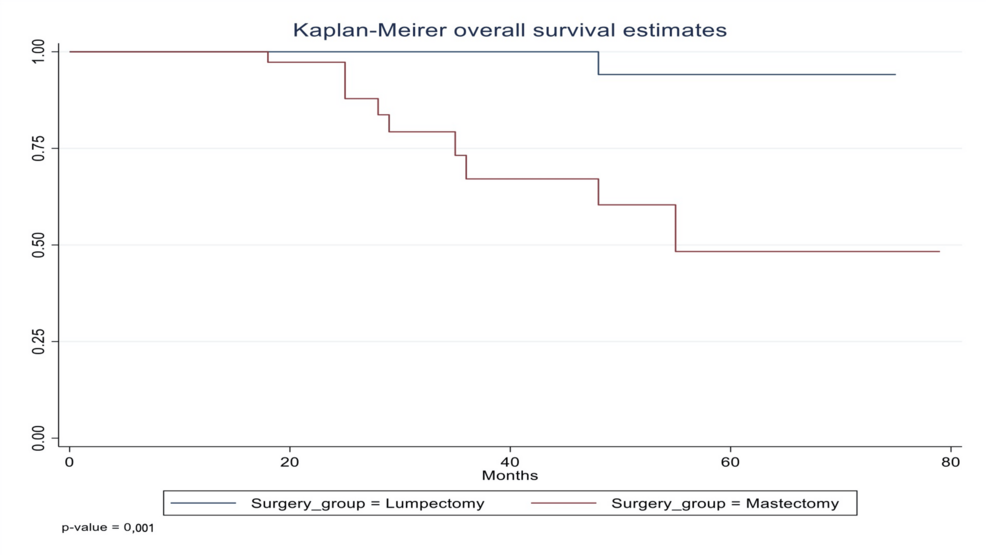 Breast Cancer Surgery at a Tertiary Center in Greece: Clinicopathological Associations and Patient Outcomes