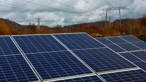 Reuters About half a dozen large solar panels are pictures from close up. Behind them is a treeline and electricity pylons.