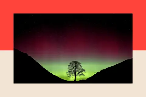 PA Media The Northern Lights, or Aurora Borealis, shining over the Sycamore Gap