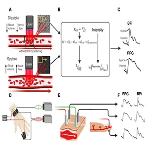 Device design. a. Principle of SCOS measurement. As blood flow and volume increase during systole, speckle contrast and intensity decrease. b. Data processing pipeline. c. Representative BFi and PPG waveforms during one cardiac pulse. d. Measurement set up. e. 532 nm and 808 nm reflective measurements are acquired at the wrist. An 808 nm transmission measurement is acquired at the finger. f. PPG and BFi waveforms at each measurement location. Credit: Boston University