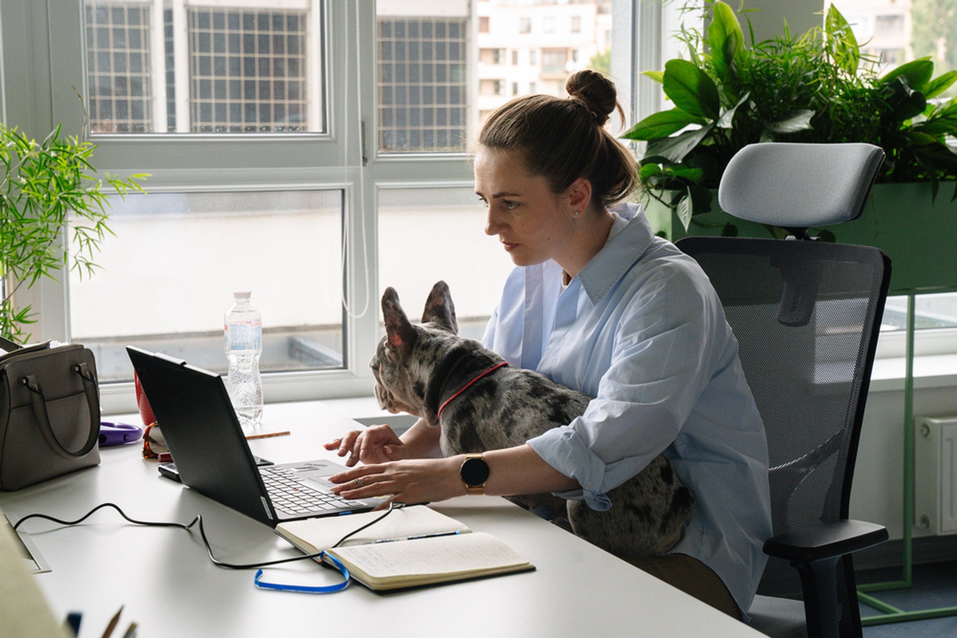 Photo from the Wix Kyiv office