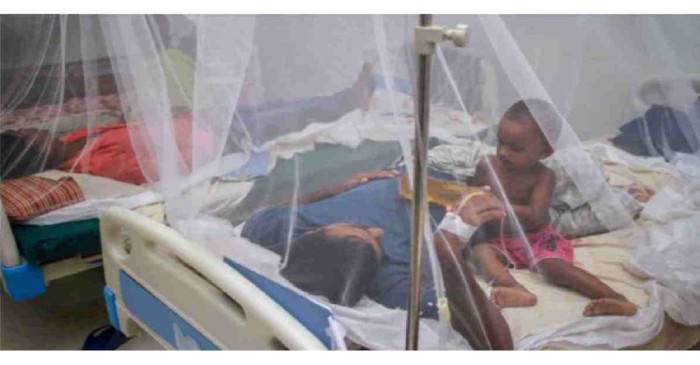 New Age | 317 more dengue cases reported in 24hrs