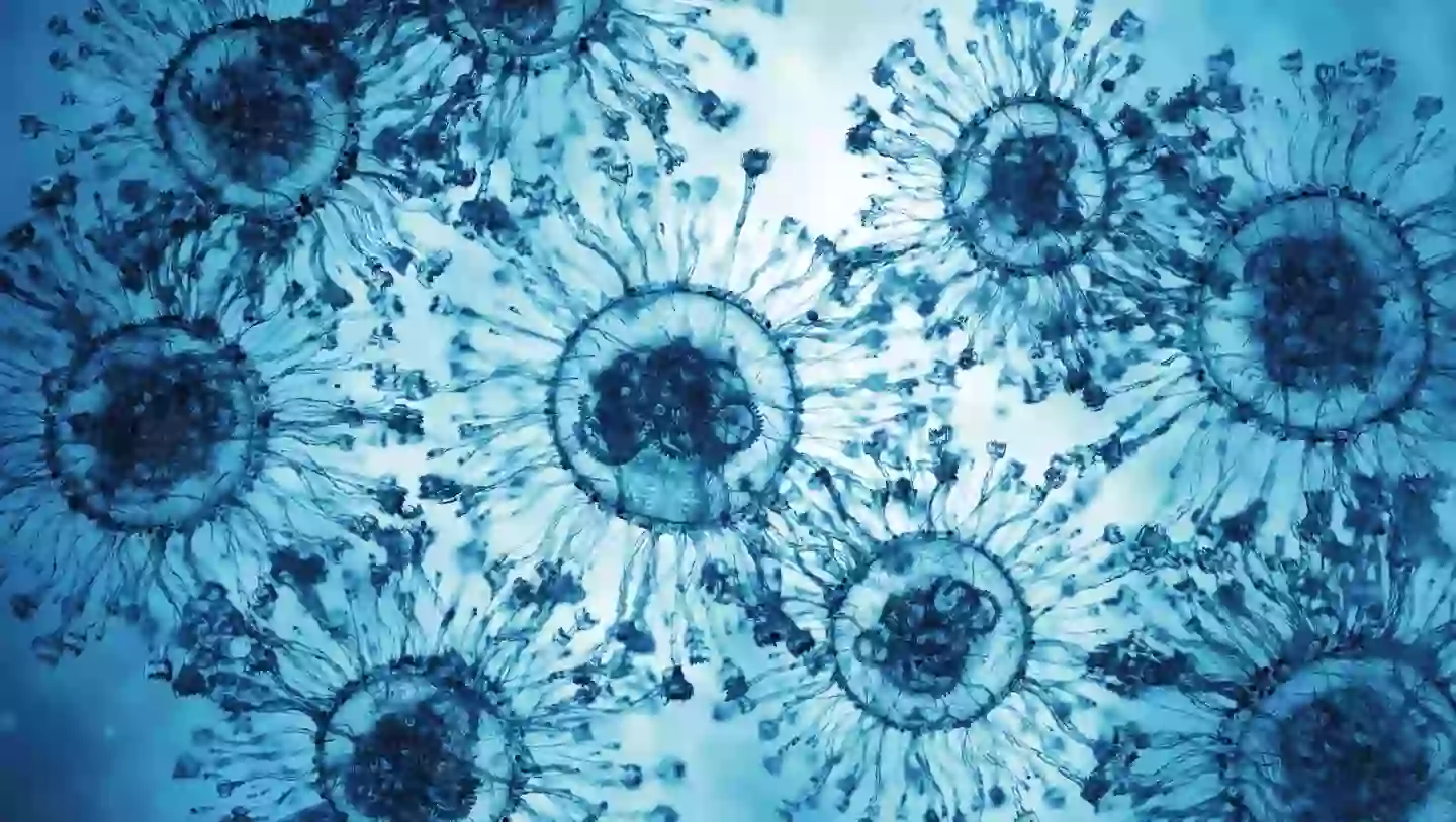 Researchers from Canada and Japan made the discovery (Getty Stock Image)