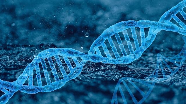 Paralogous Genes Decoded With Paraphase Tool
