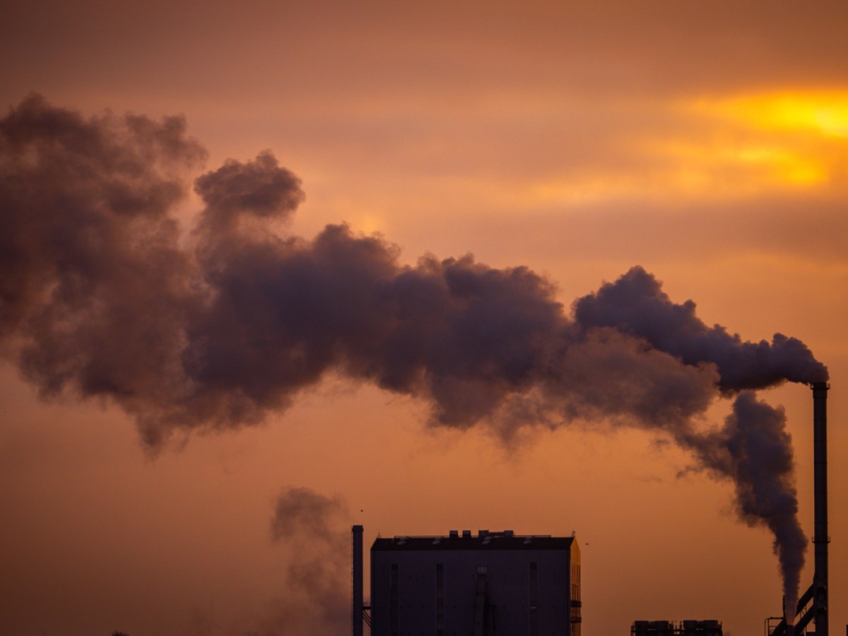 Net zero firms emit 0.5% less CO2, study finds