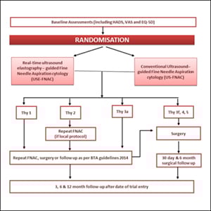 Diagnostic Performance of Ultrasound vs Ultrasound-Guided FNAC in Thyroid Nodules