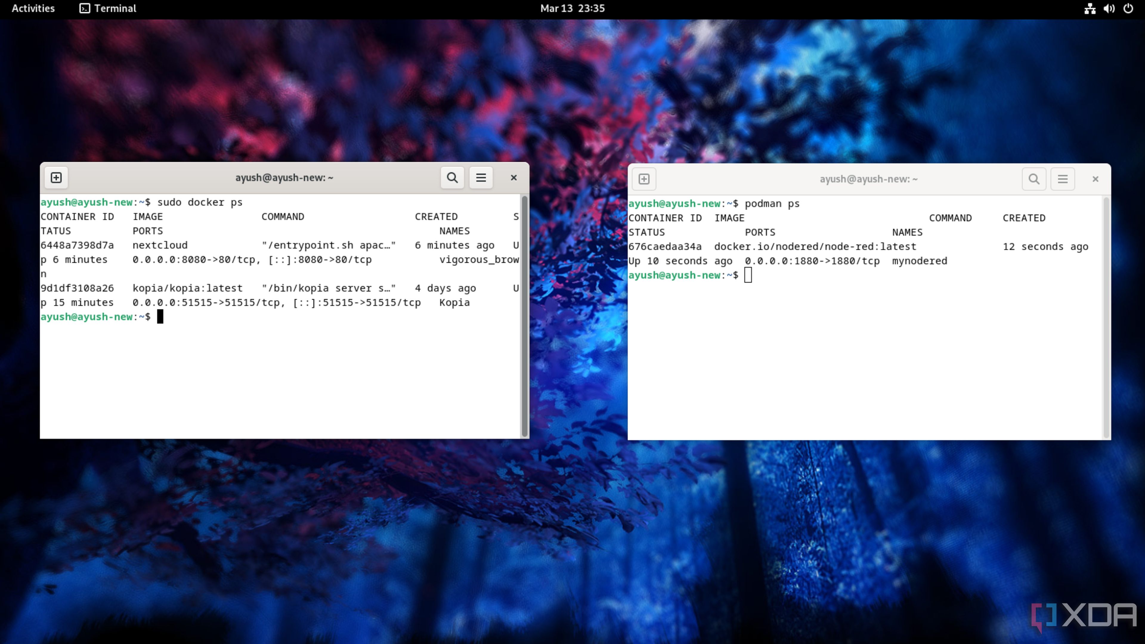Running Docker and Podman side-by-side