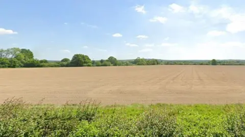 Google A field lined with trees on a sunny day