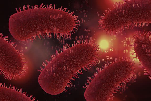 Getty Rabies virus under a microscope