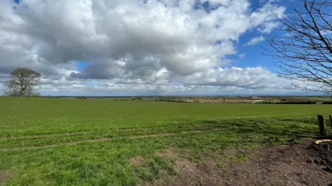 RWE  A big, flat grassy field with a tree on the horizon .