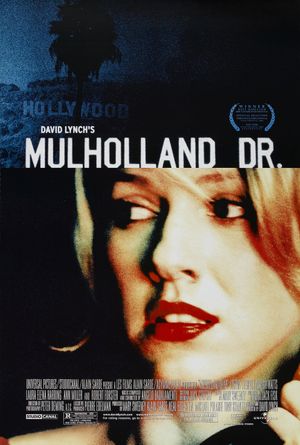 book cover for Mulholland Drive by 