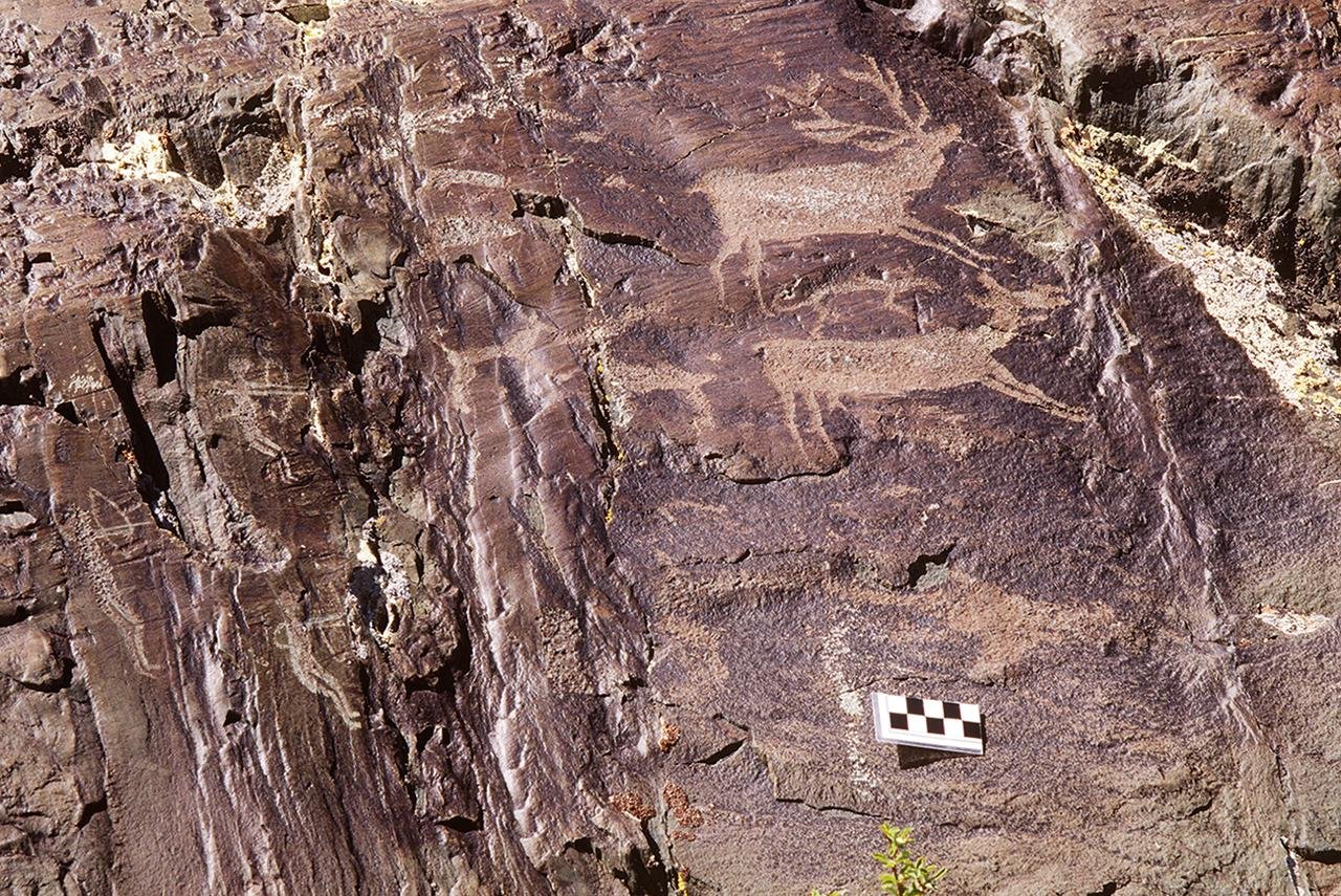 Ancient elk petroglyphs in Mongolia show 12,000-year shift from realism to wolf-like symbols