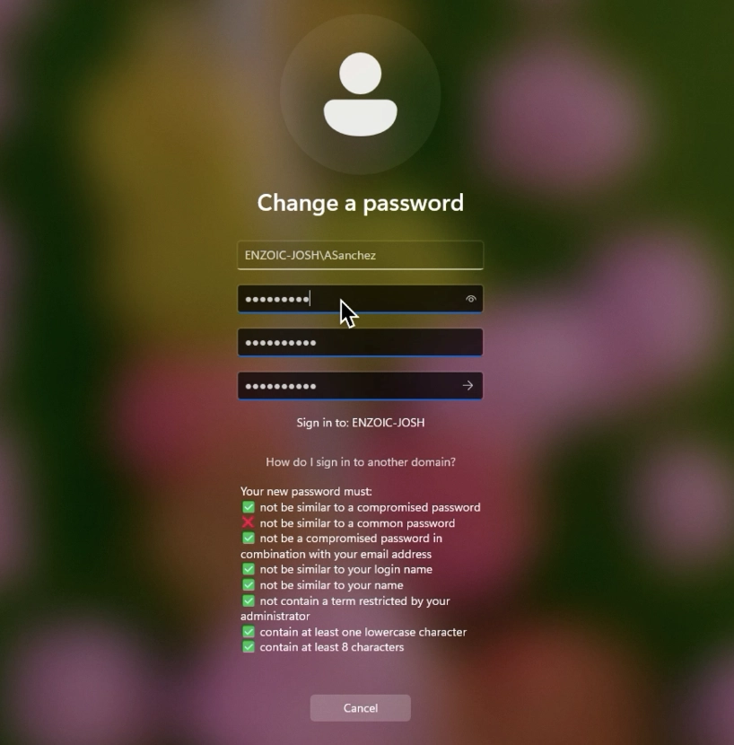 Enzoic Active Directory