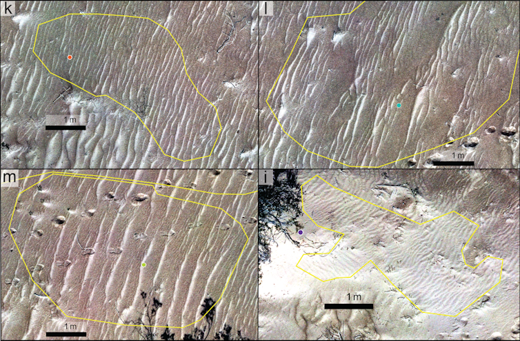 Four aerial photographs of sand ripples.