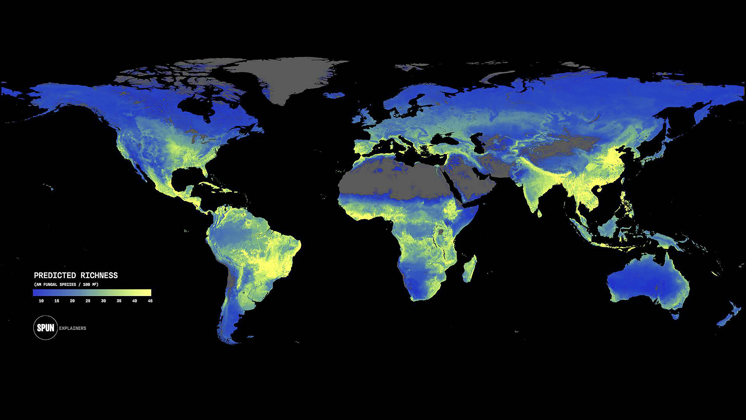 Underground fungi networks that sustain life on Earth are in trouble