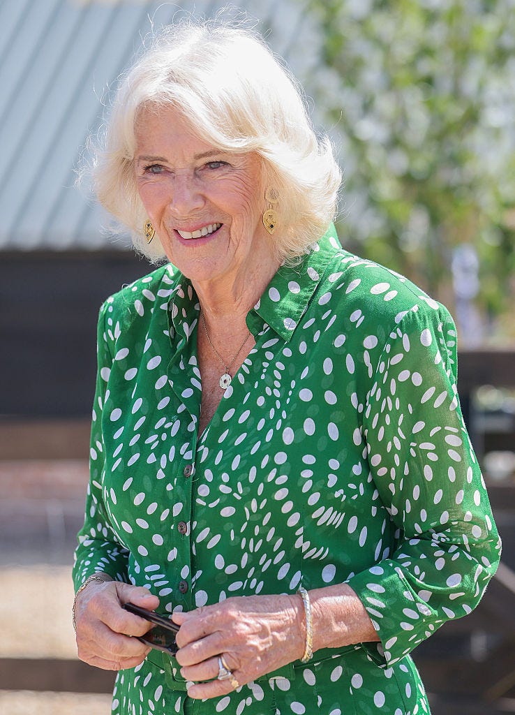 queen camilla microblading eyebrows