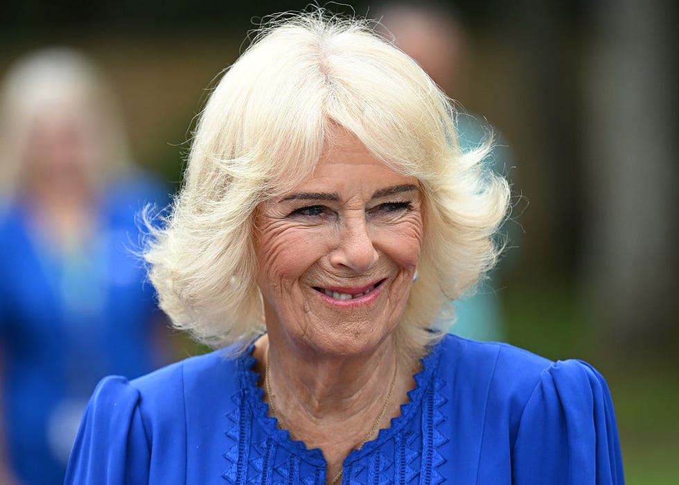 queen camilla microblading eyebrows
