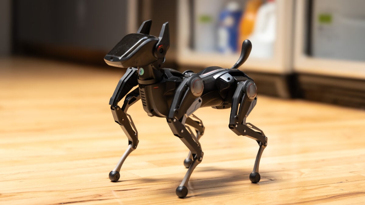 This Robot Dog Is as Good at Walking as I Am at Being a Robot Dog