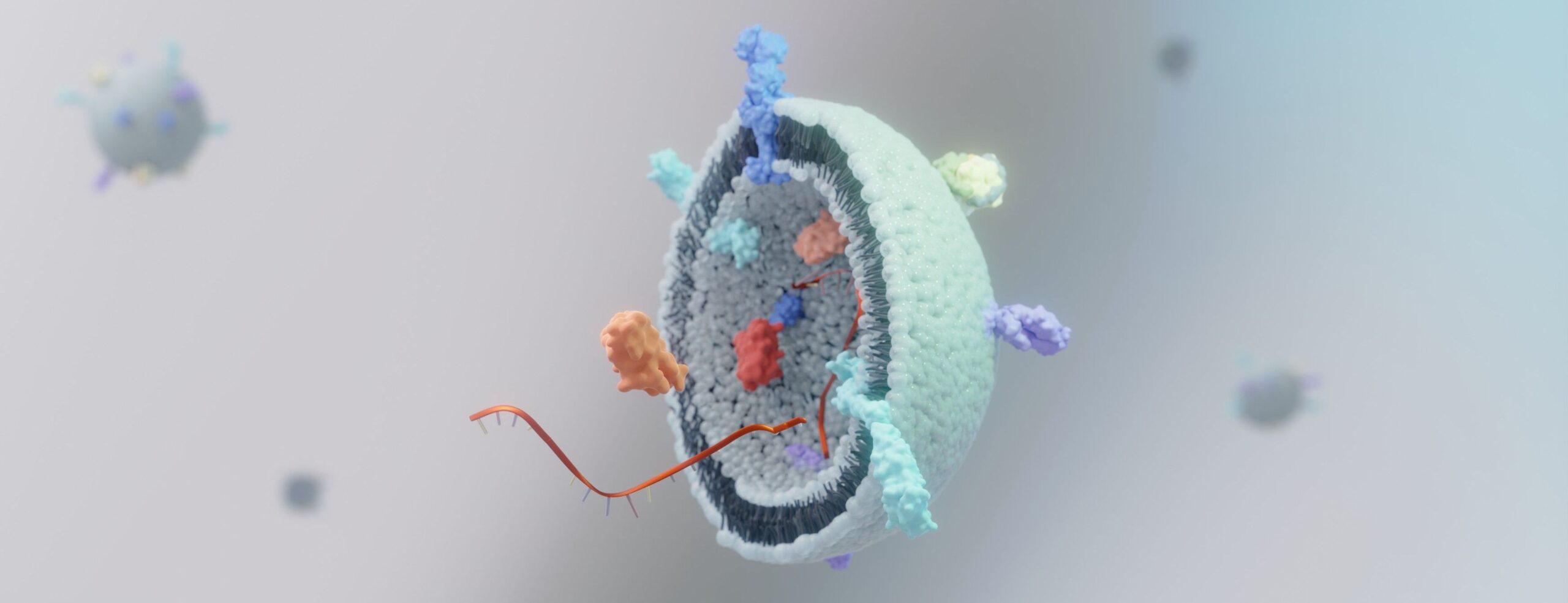 Blood Test May Flag Early Heart Transplant Rejection