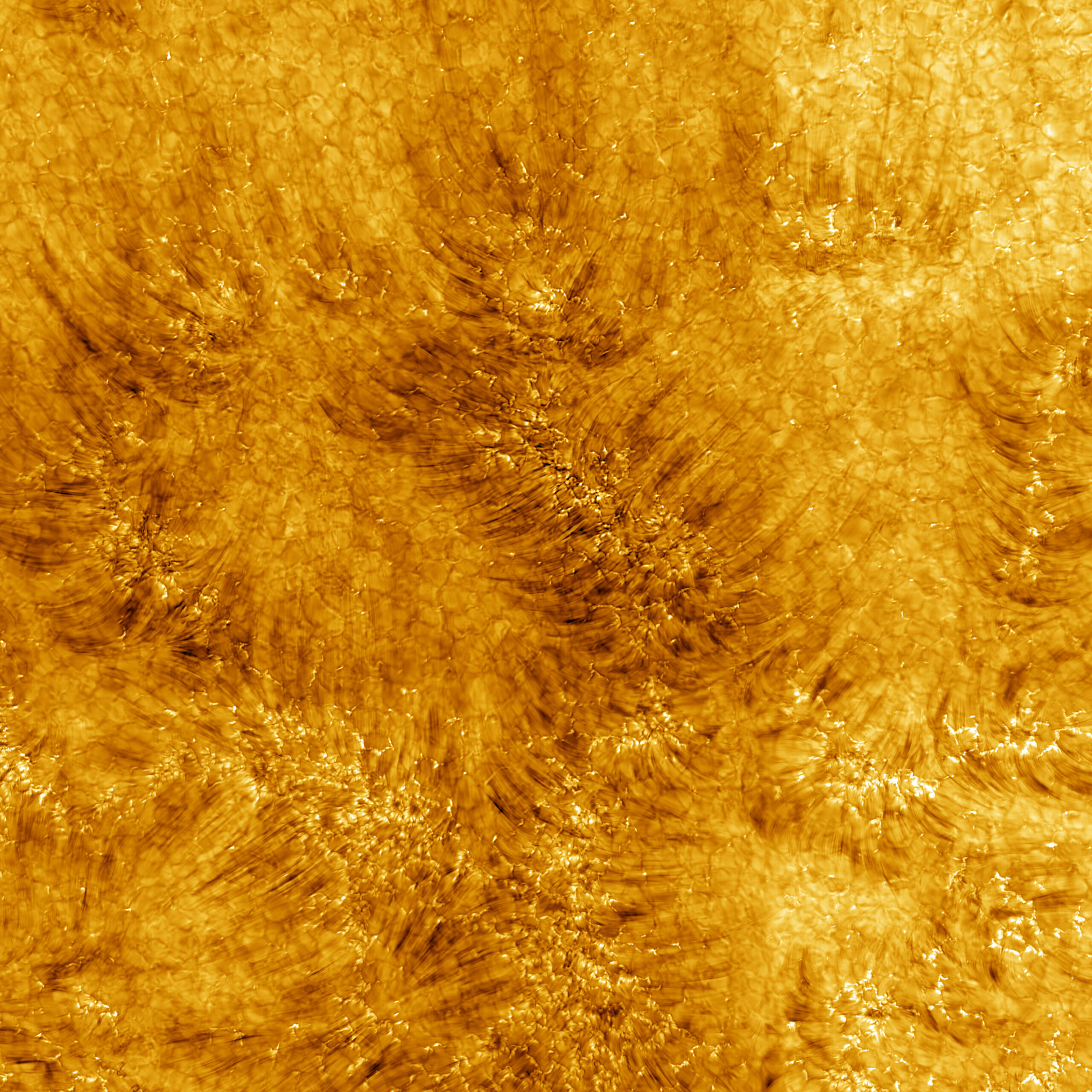 NASA just snapped the closest photos of the Sun ever taken