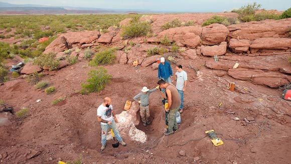 Fieldwork at the El Orejano locality of the Huincul Formation in Patagonia, Argentina. Image credit: Flavio Bellardini.