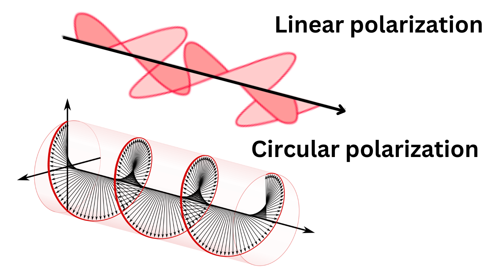 Linear polarization vs. Circular polarization. The latter looks like a corkscrew pattern.