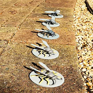 3D printed models of a common wasp. The model in front is life-sized. Credit: Dr. Tom Reader (University of Nottingham)