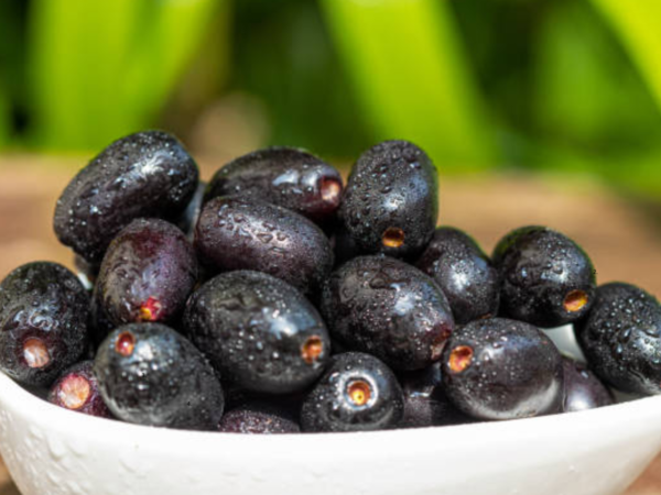Jamun’s slightly sour taste makes it a cooling choice during the rains. It helps digestion, cuts down acidity, and soothes mild bloating. According to a study published in the National Library of Medicine, its antioxidants and bioactive compounds calm the gut and support overall metabolic balance. Jamun