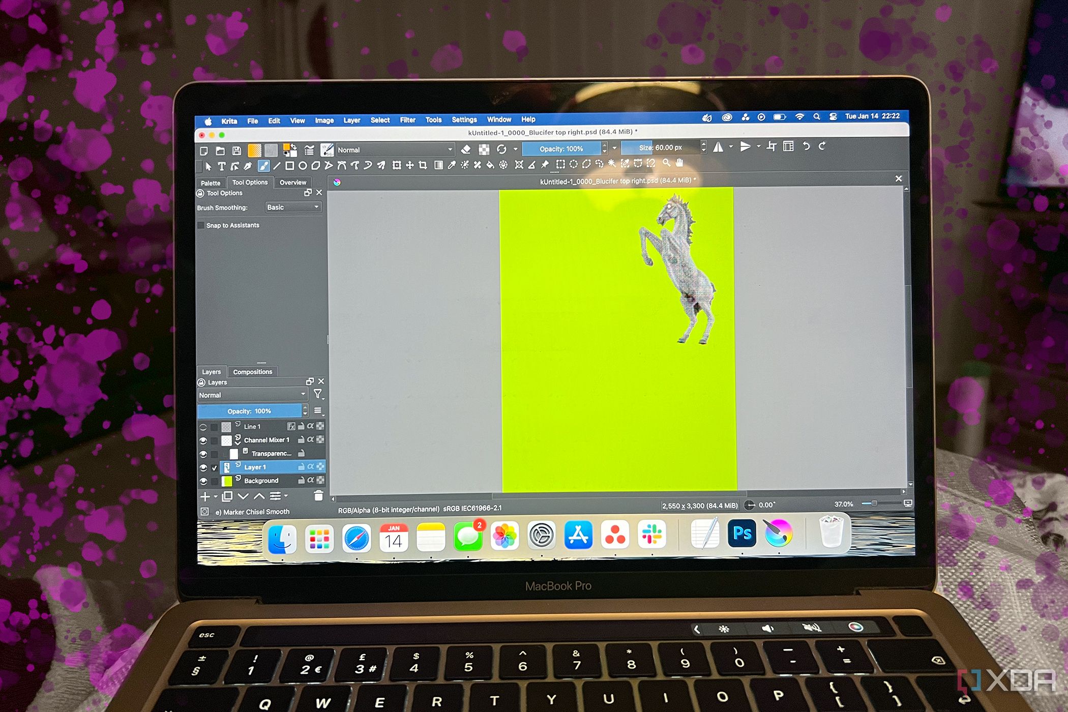 Krita on MacBook with pink splashes around it