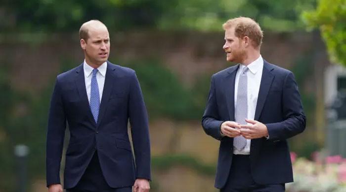 Prince Harry blames William for fading bond with key celeb pal