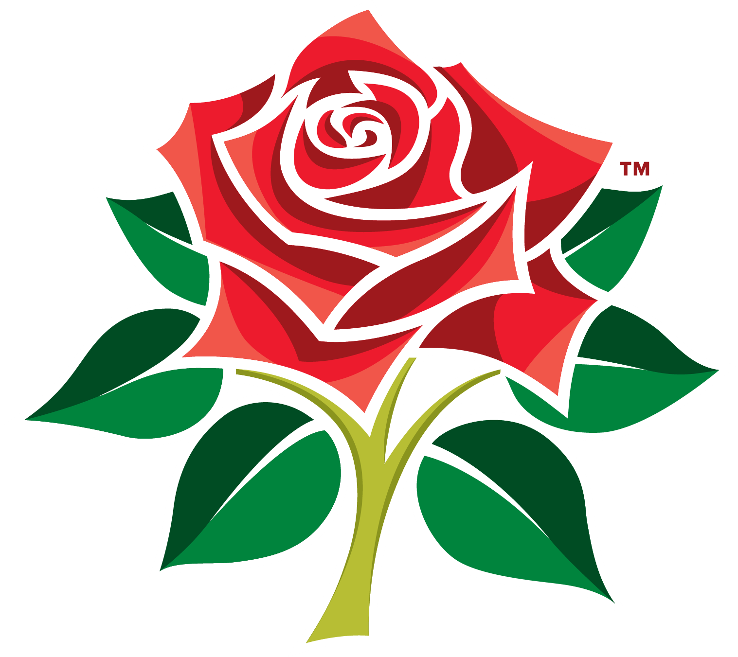 Defeat for Lancashire Lightning at Edgbaston by 36 runs