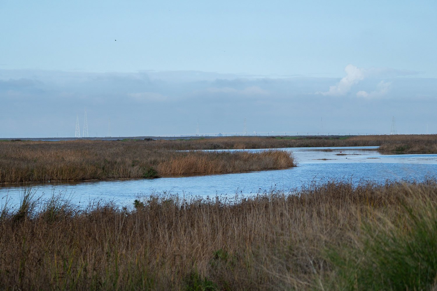 A view of a wetland with marshes on either side of a body of water.