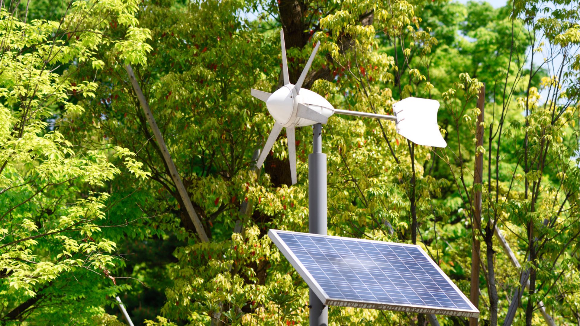 Tiny turbines crack wind’s secret ‘twist’ for a giant 37% power boost