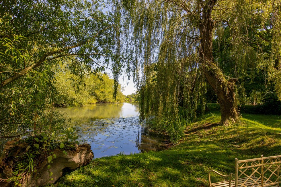 grounds at mill house owned by tim burton in oxfordshire