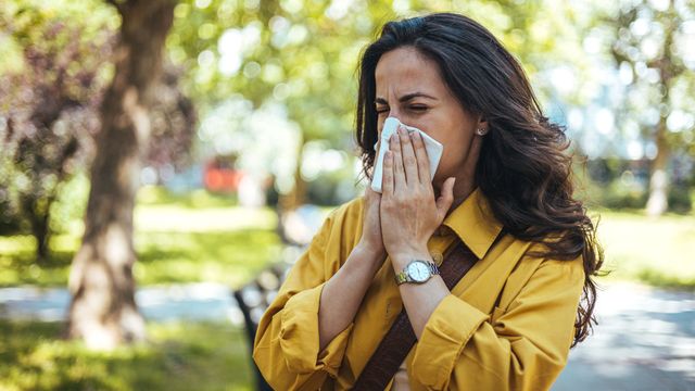 Nasal Antibody Blocks Hay Fever in Mice