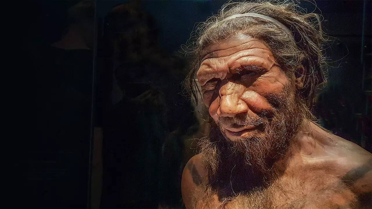 Source: Science Neanderthal DNA