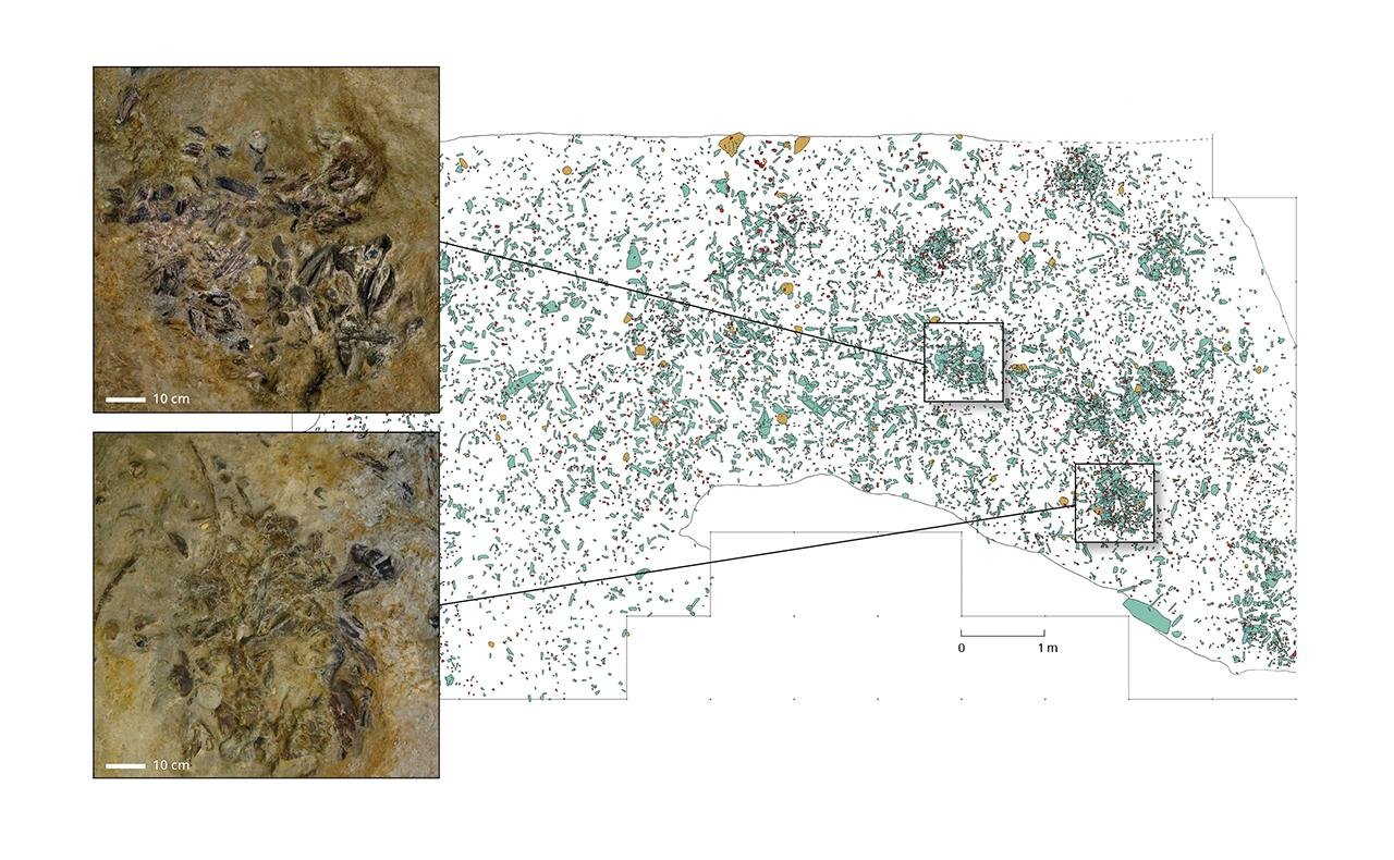 Neanderthals operated prehistoric “fat factory” 125,000 years ago on German lakeshore, study finds