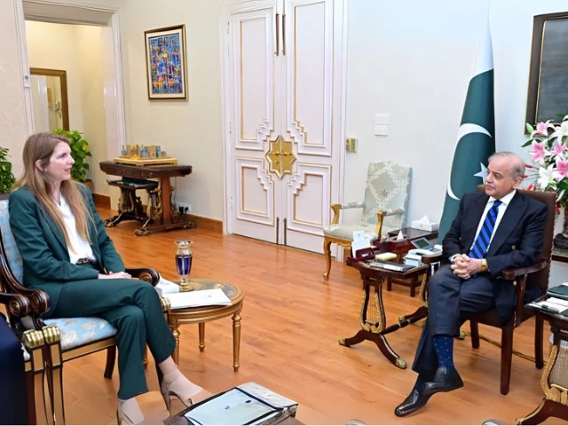 PM calls for ‘meaningful dialogue’ with India to ease tensions in talks with British envoy