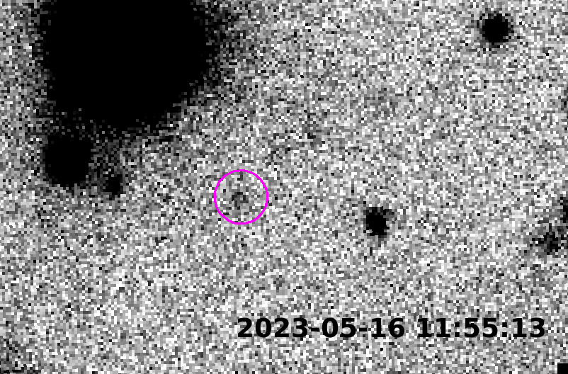 a grainy black-and-white blob moves across a grainy black-and-white background