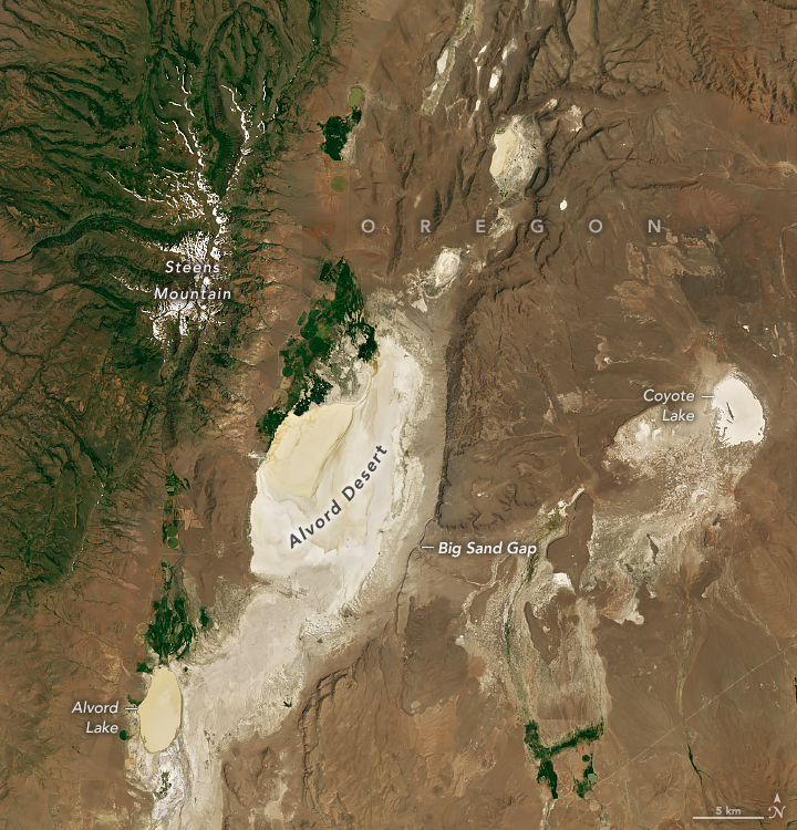 The Alvord Desert, a light-tan area running roughly north to south, is centered in this satellite image of Oregon. In the upper left, a mountainous area has snow in higher elevations and tinges of green on its slopes. The rest of the land is mostly dark brown with small white areas interspersed.